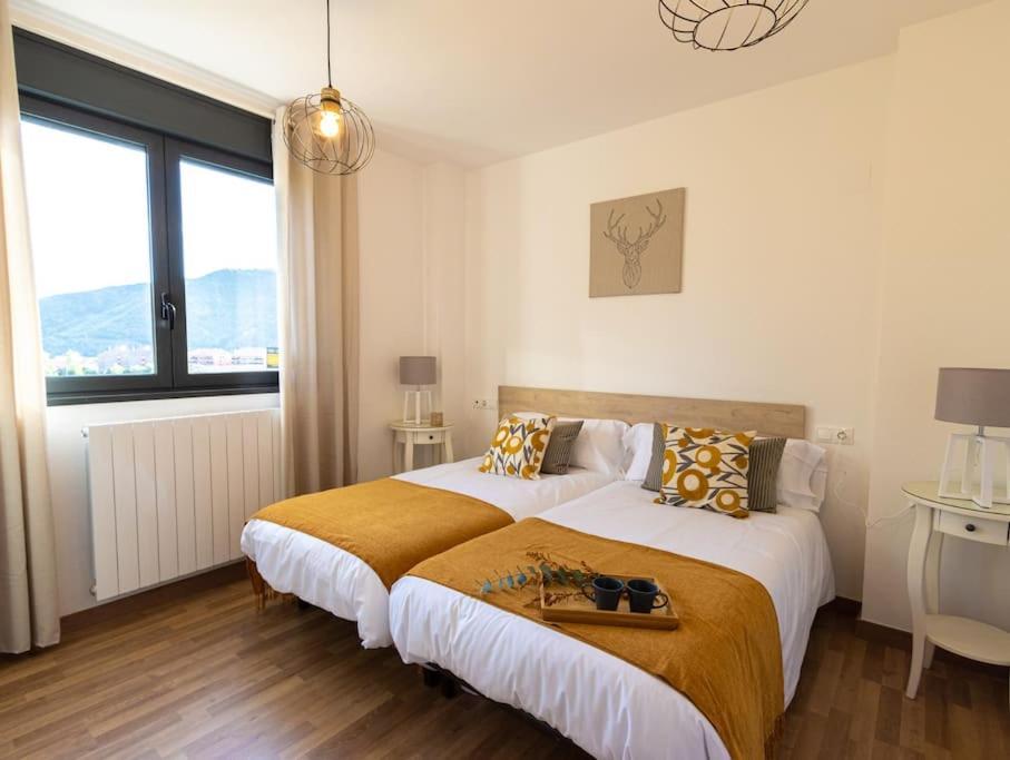 Mi Trocito De Sabinanigo, Wifi, Parking, Terraza Apartment Екстериор снимка